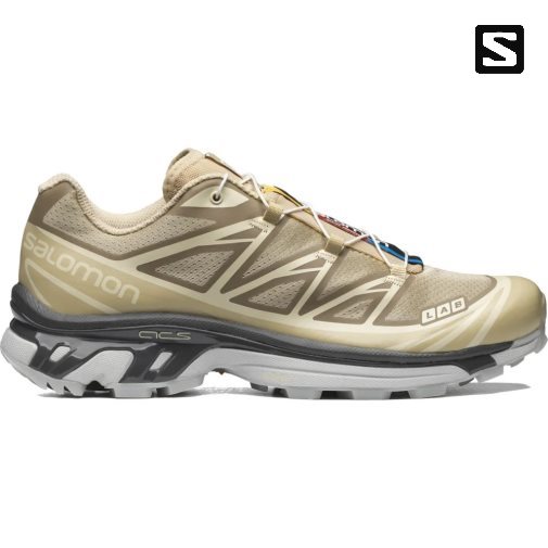 Tenis Salomon Xt-6 Clear Hombre Verde Oliva | MX PYIE397